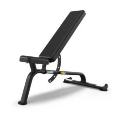 True Fitness Line Flat / Incline / Decline Bench (FS-20)(True Fitness Line Flat Incline Decline Bench Fs 20)