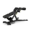 True Fitness Line Low Back/Abdominal Crunch Bench (FS-22)(True Fitness Line Low Back Abdominal Crunch Bench Fs 22) 1 True Fitness Line Low Back/Abdominal Crunch Bench (FS-22)(True Fitness Line Low Back Abdominal Crunch Bench Fs 22) -Top Fitness Store True FS 22 35 Low Back Abdominal Bench