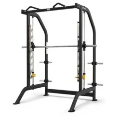 True Fitness Line Smith Machine (FS-30)(True Fitness Line Smith Machine Fs30)