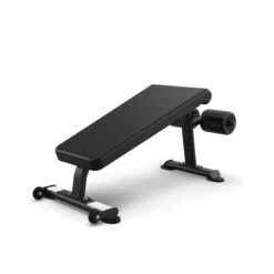 True Fitness Line Abdominal Crunch Bench (FS-21)(True Fitness Line Abdominal Crunch Bench Fs 21)