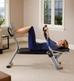 Precor Ab-X Abdominal Trainer(Precor Ab X Abdominal Trainer) -Top Fitness Store precor ab x abdominal trainer 271694