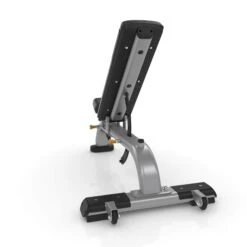 Precor Discovery Series Adjustable Bench (DBR0119)(Precor Adjustable Bench Dbr 119) -Top Fitness Store precor discovery series adjustable bench dbr0119 132192