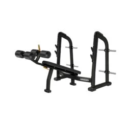 Precor Discovery Series Olympic Decline Bench (DBR0411)(Precor Discovery Series Olympic Decline Bench Dbr0411)