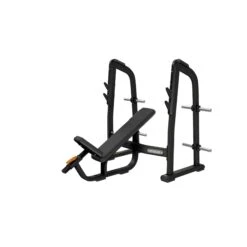 Precor Discovery Series Olympic Incline Bench (DBR0410)(Precor Discovery Series Olympic Incline Bench Dbr0410)