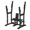 Precor Discovery Series Olympic Shoulder Press Bench (DBR0507)(Precor Discovery Series Olympic Shoulder Press Bench Dbr0507) -Top Fitness Store precor discovery series olympic shoulder press bench dbr0507 469193
