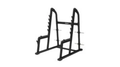 Precor Discovery Series Olympic Squat Rack (DBR0608)(Precor Discovery Series Olympic Squat Rack Dbr0608)