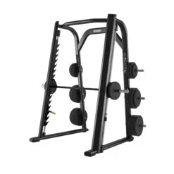 Precor Discovery Series Smith Machine (DPL0802)(Precor Discovery Series Smith Machine Dpl802)