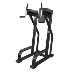 Precor Discovery Series Vertical Knee Up (DBR0702)(Precor Discovery Series Vertical Knee Up Dbr0702)