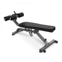 True Abdominal / Decline Bench (XFW-5300)(True Abdominal Decline Bench Xfw 5300)