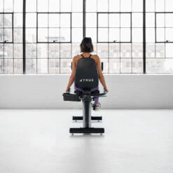 True Launch Recumbent Bike(True Launch Recumbent Bike) 20 True Launch Recumbent Bike(True Launch Recumbent Bike) -Top Fitness Store true launch recumbent bike 794283