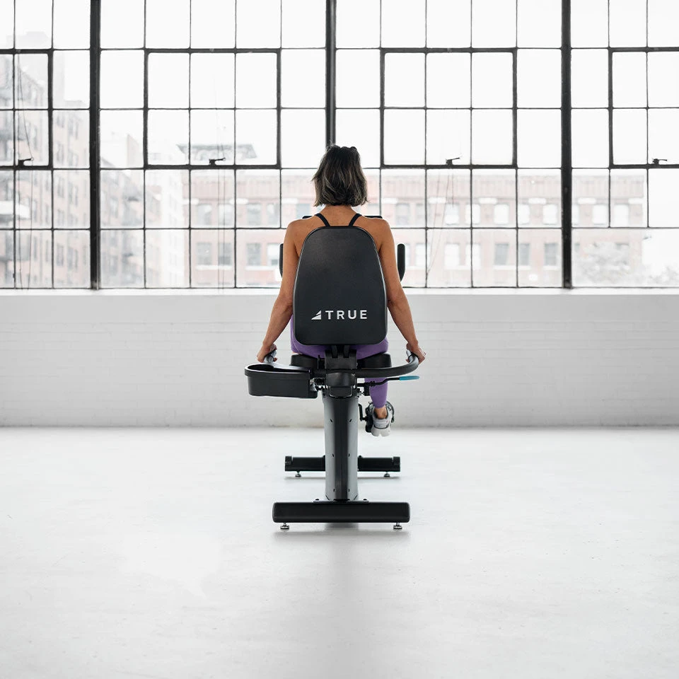 True Launch Recumbent Bike(True Launch Recumbent Bike) 10 True Launch Recumbent Bike(True Launch Recumbent Bike) - Image 8